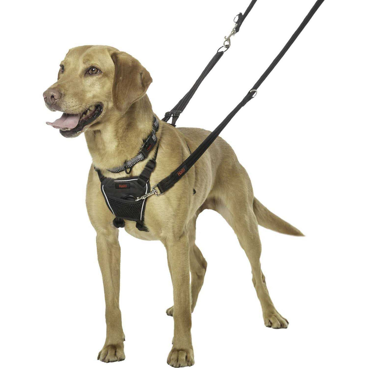 No Pull Harness V434