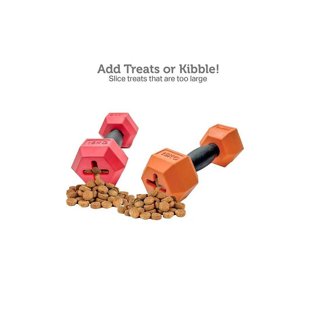Dumbbell Rubber Chew Dog Toys 2-piece Set T434935