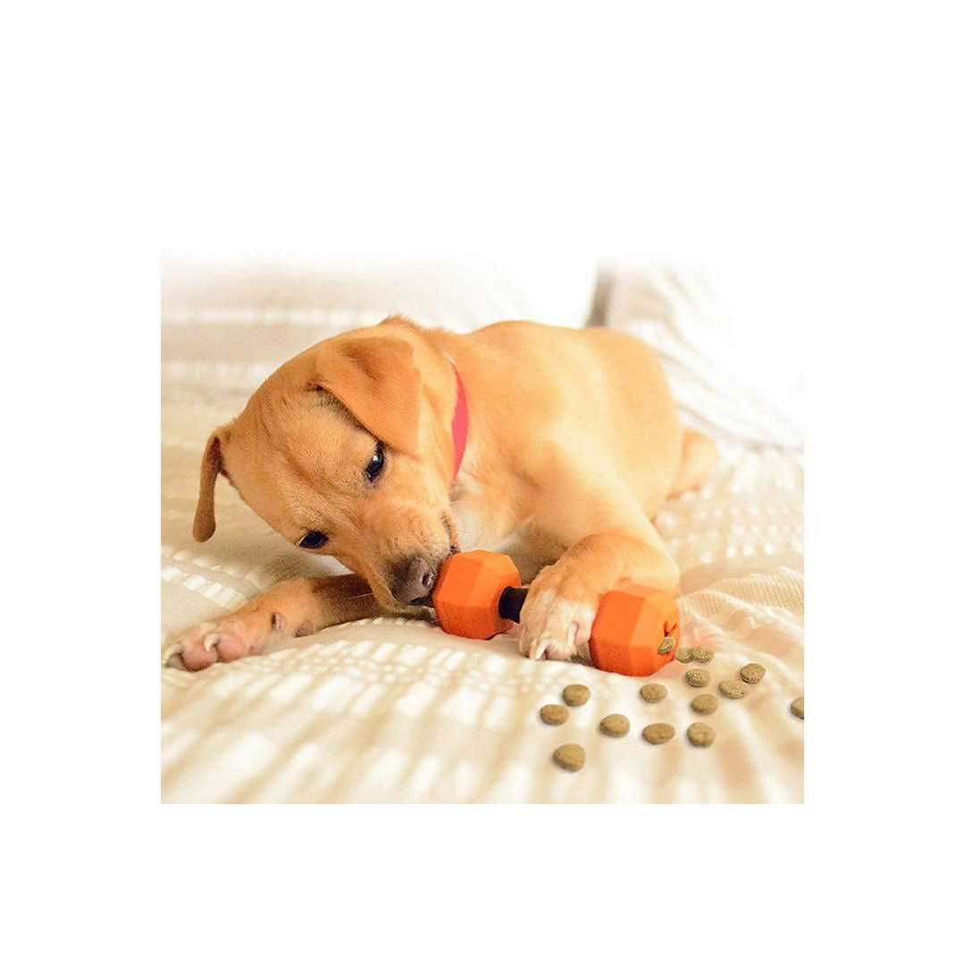 Dumbbell Rubber Chew Dog Toys 2-piece Set T434935