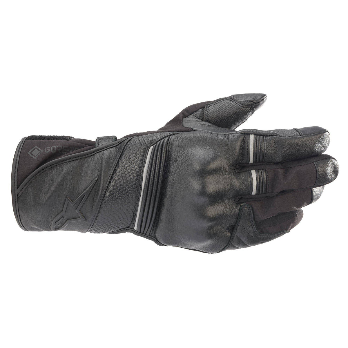 GORE-TEX Gloves (Black) D952