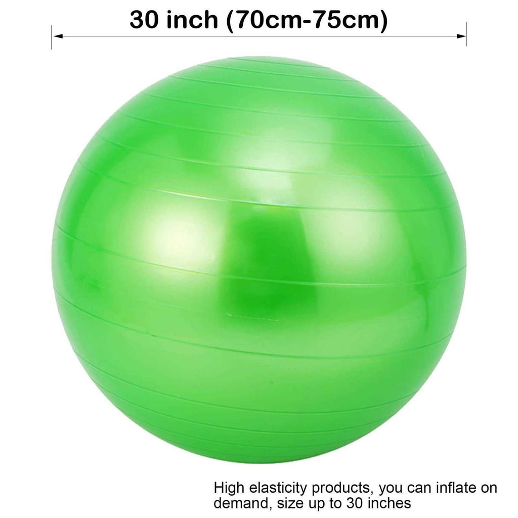 30 Inch Anti-Burst Horse Herding Ball with Pump S432849