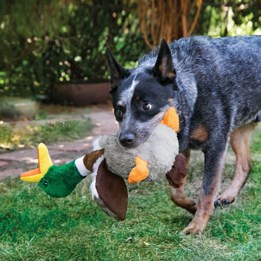 Flamingo Dog Toy S69173