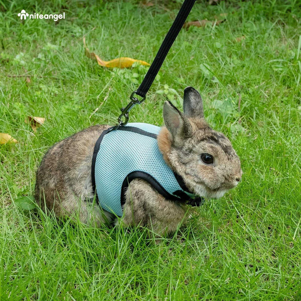 Adjustable Soft Harness with Elastic Leash for Rabbits K45824