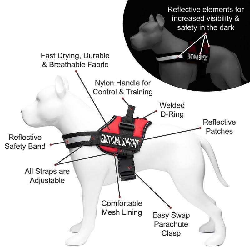 Reflective Dog Vest Harness and Leash Set Y66935