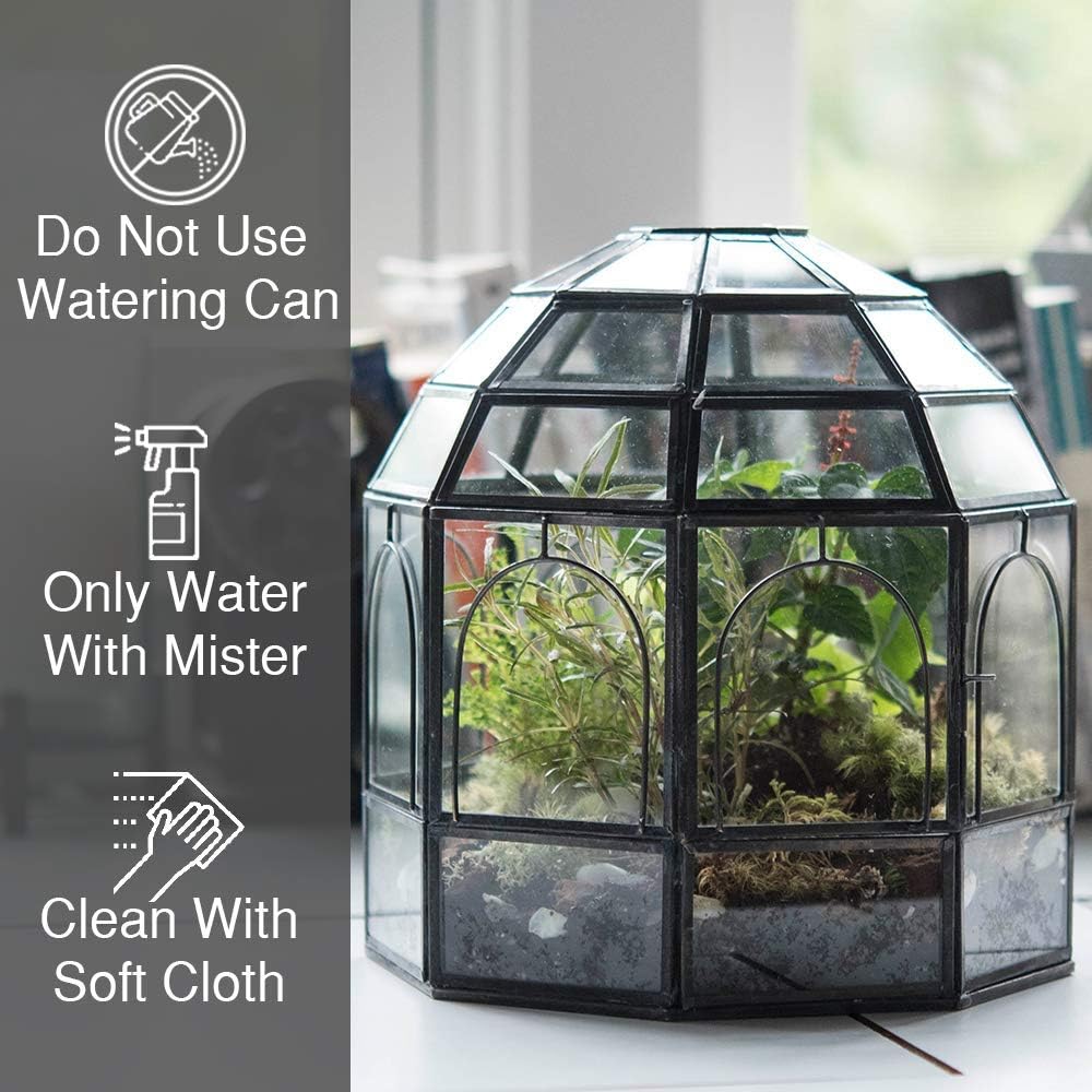Large Glass Terrarium 10 x 9 x 9 Black P164344