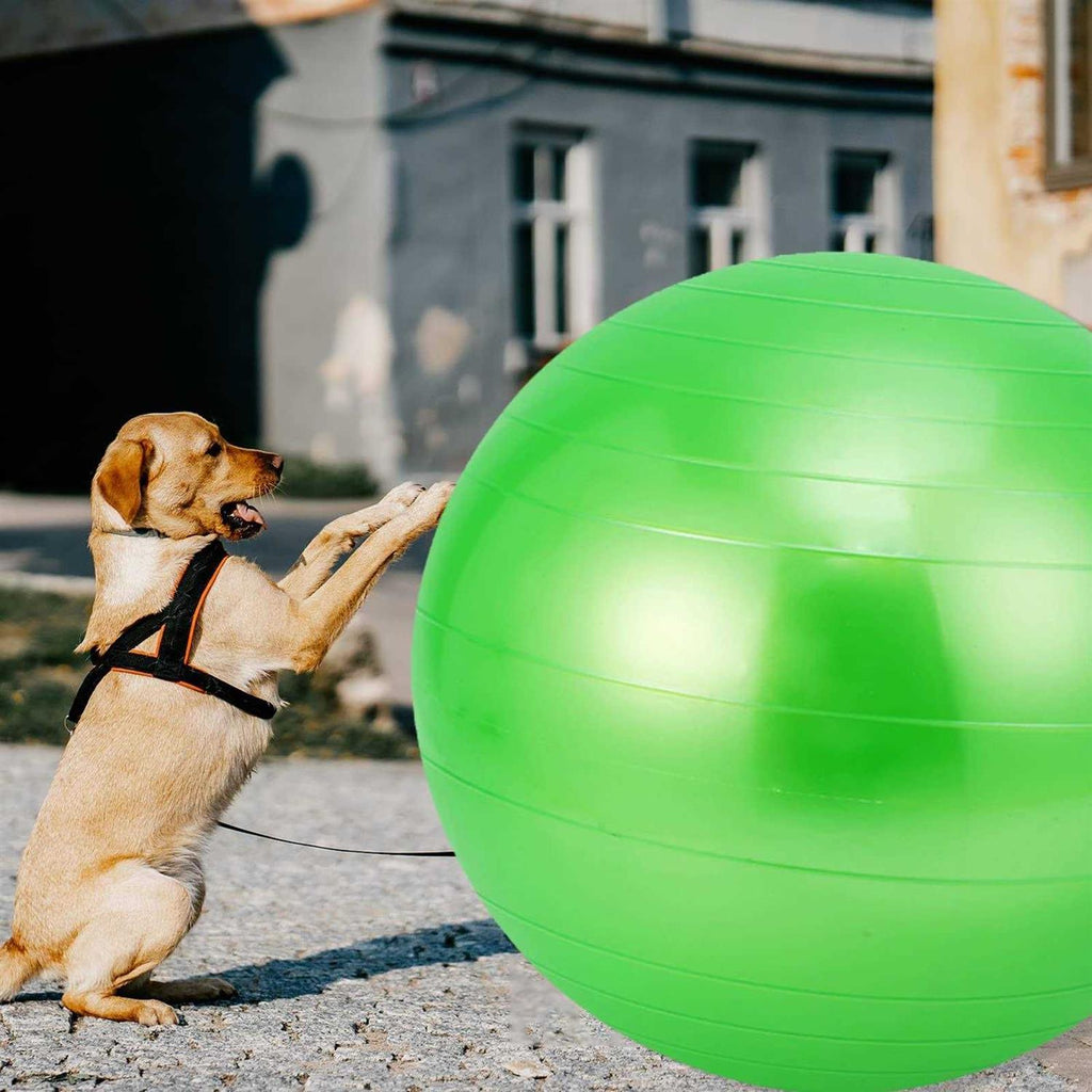 30 Inch Anti-Burst Horse Herding Ball with Pump S432849