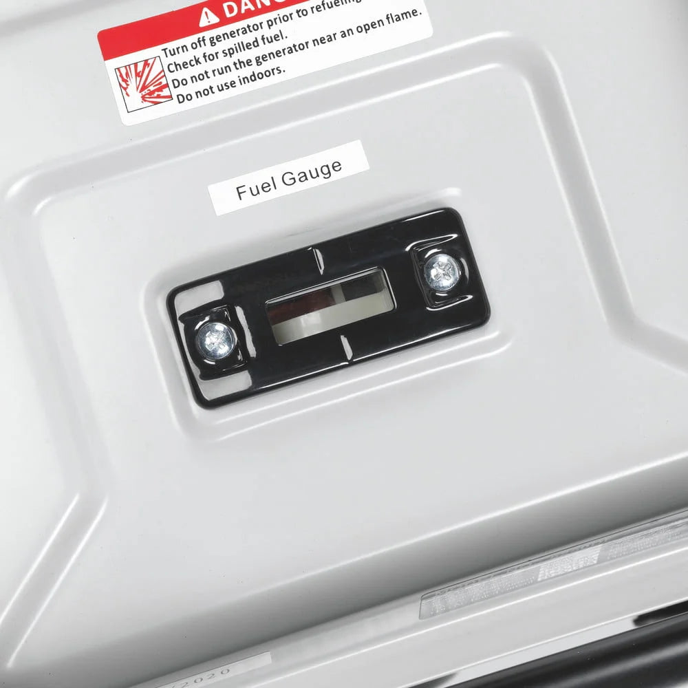 Portable Dual Fuel Gas Generator with Electric Start N39211