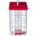 Peanut Sunflower Seed Feeder O99811