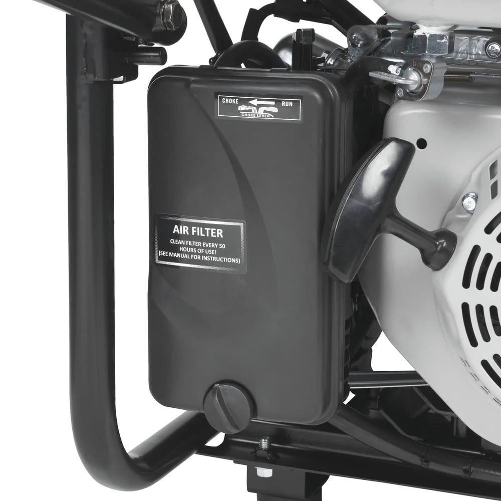 Portable Dual Fuel Gas Generator with Electric Start N39211