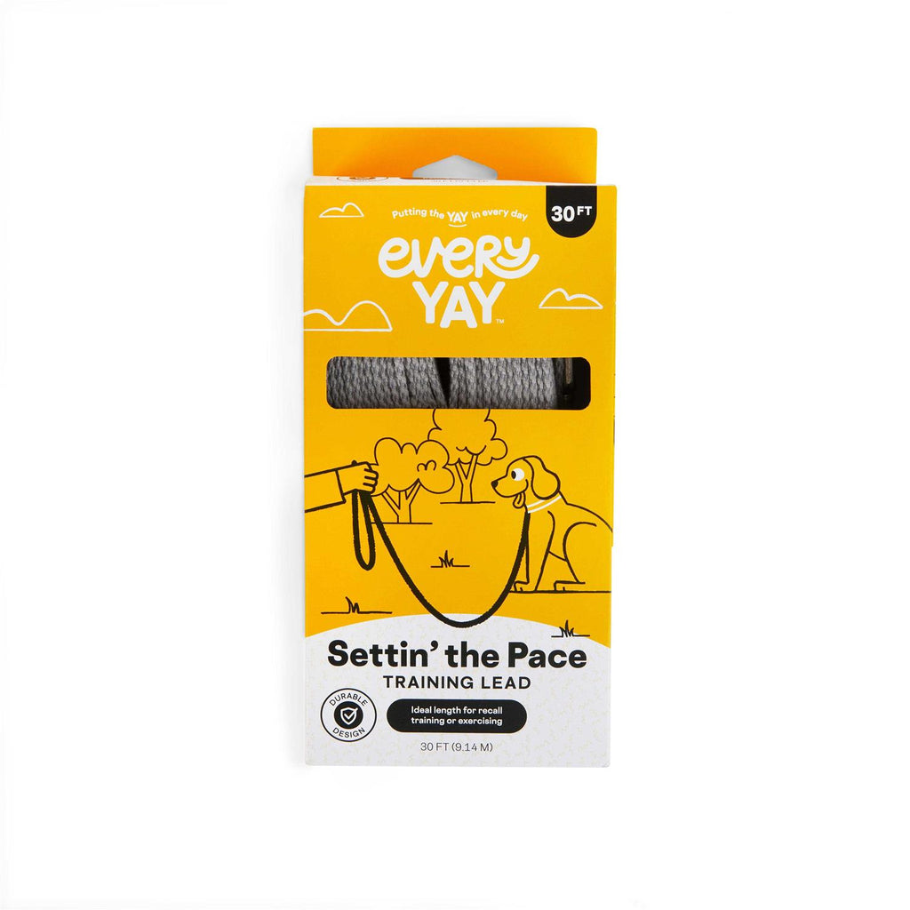 Adjustable Recall Training Dog Lead X6357