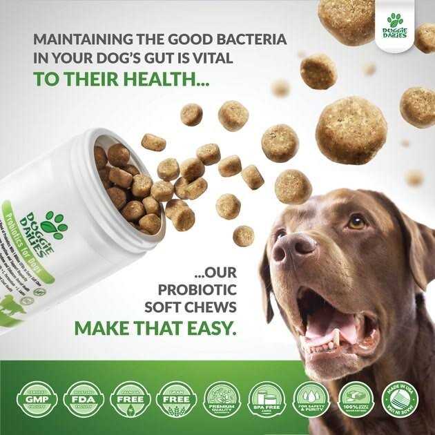 Probiotics for Dogs with Prebiotics O7849