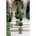 Topiary Tree Collection U27997