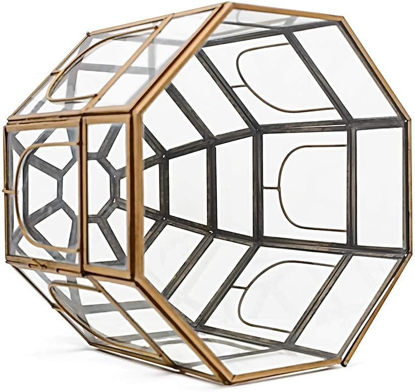 Large Glass Terrarium 10 x 9 x 9 Black P164344