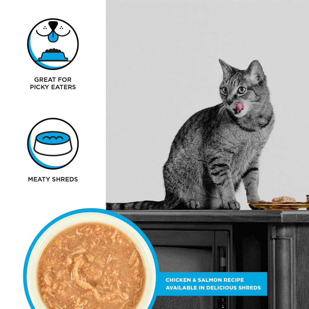 Chicken Recipe Shredded Canned Cat Food F163305