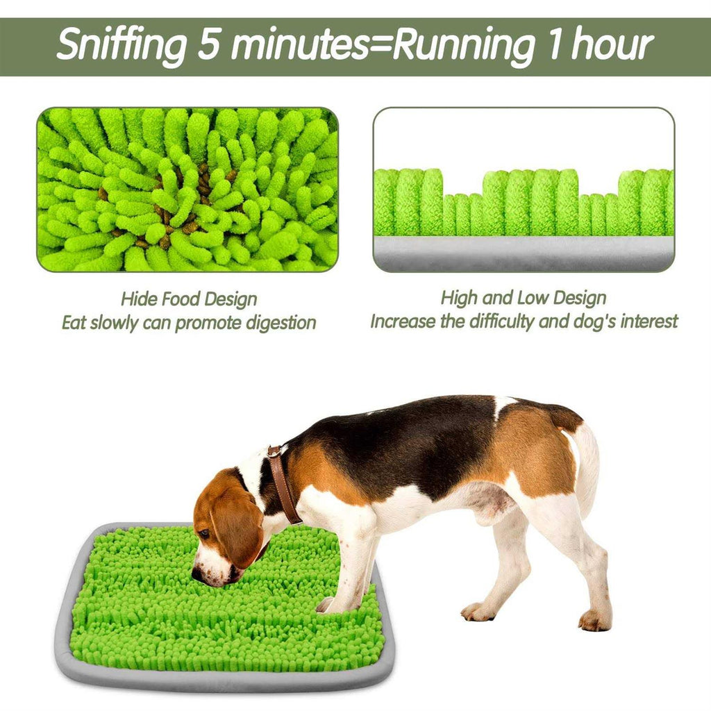 21x16 Inch Snuffle Mat for Dogs W66992