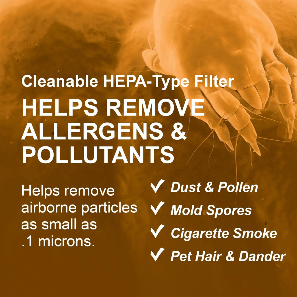 Black HEPA-Type Air Purifier C336
