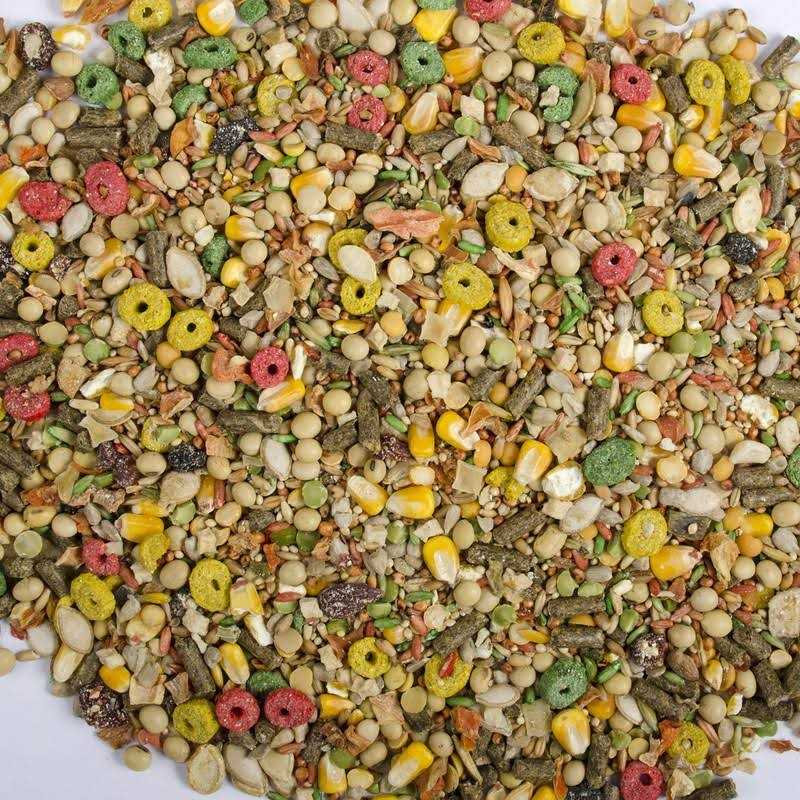 Hamster and Gerbil Advanced Nutrition Diet K8697