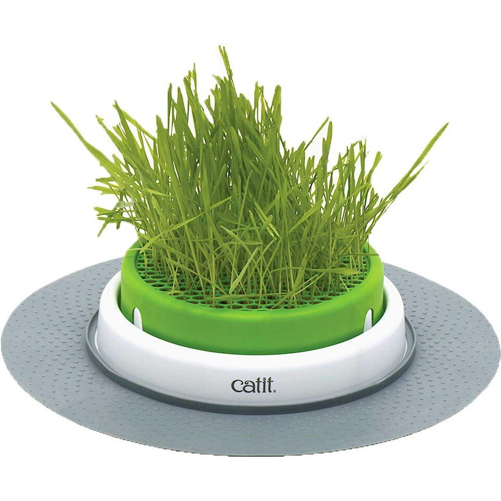 Grass Planter L278285