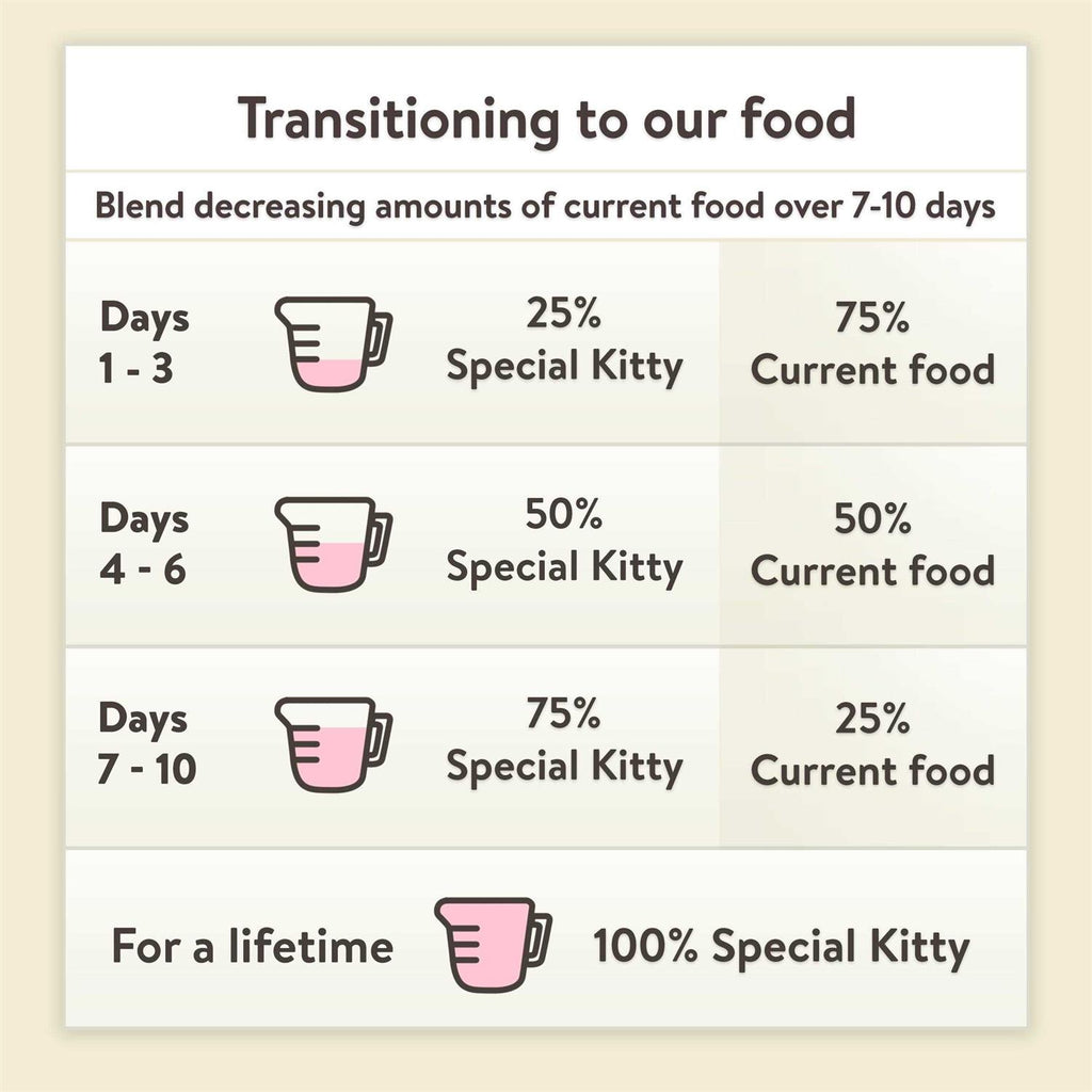 Kitten Formula Dry Cat Food P938