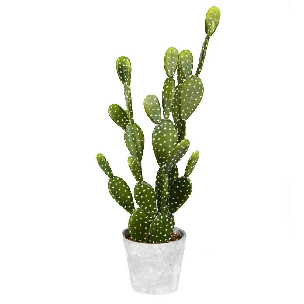 Potted Cactus in Concrete Pot H88673