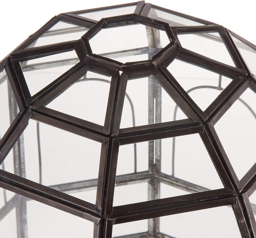 Large Glass Terrarium 10 x 9 x 9 Black P164344
