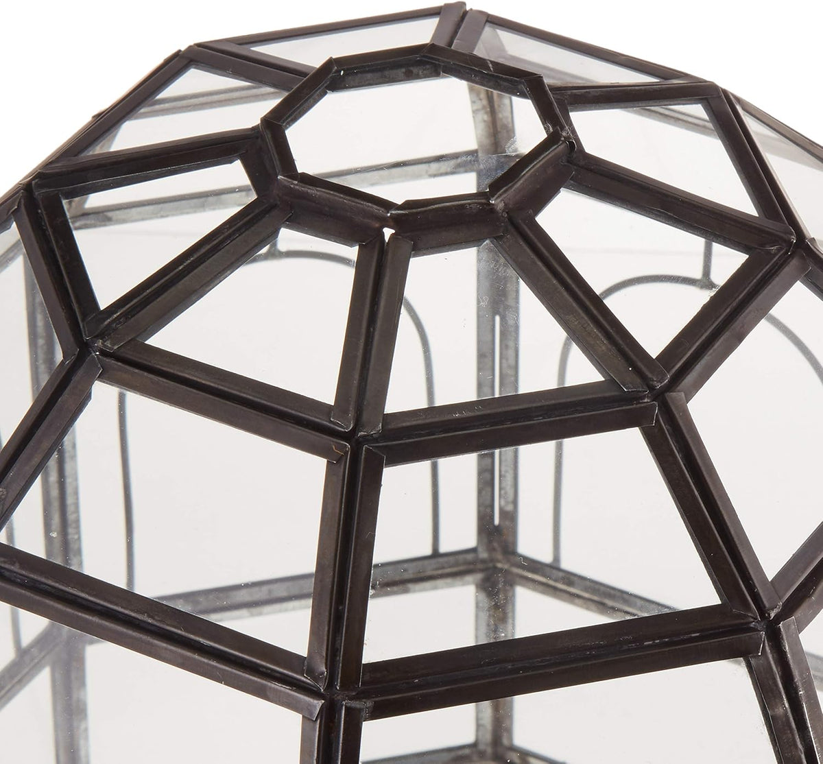 Large Glass Terrarium 10 x 9 x 9 Black P164344