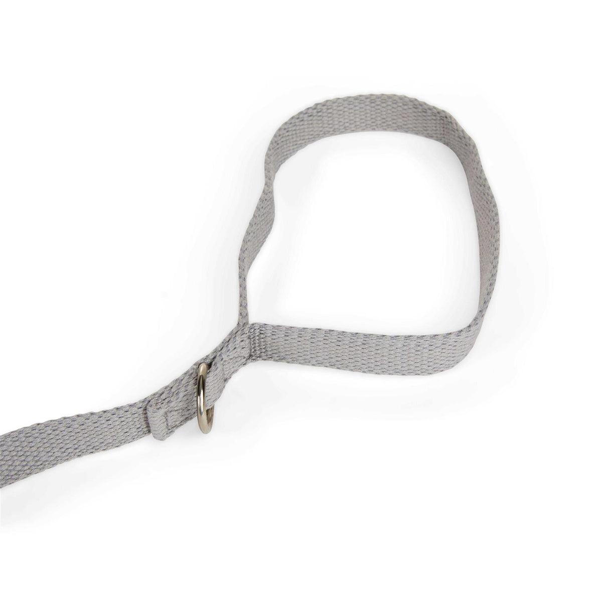 Adjustable Recall Training Dog Lead X6357