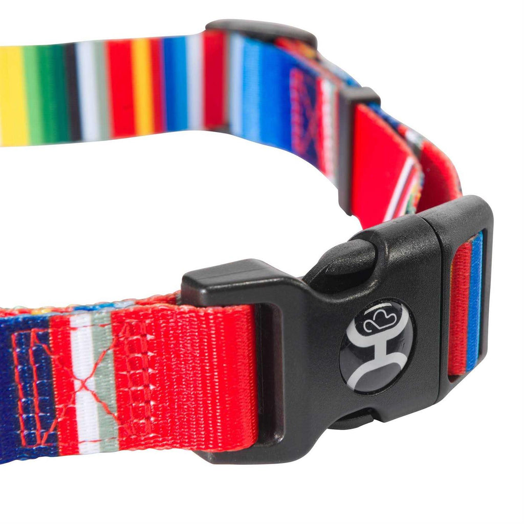 Dog Collar R505190