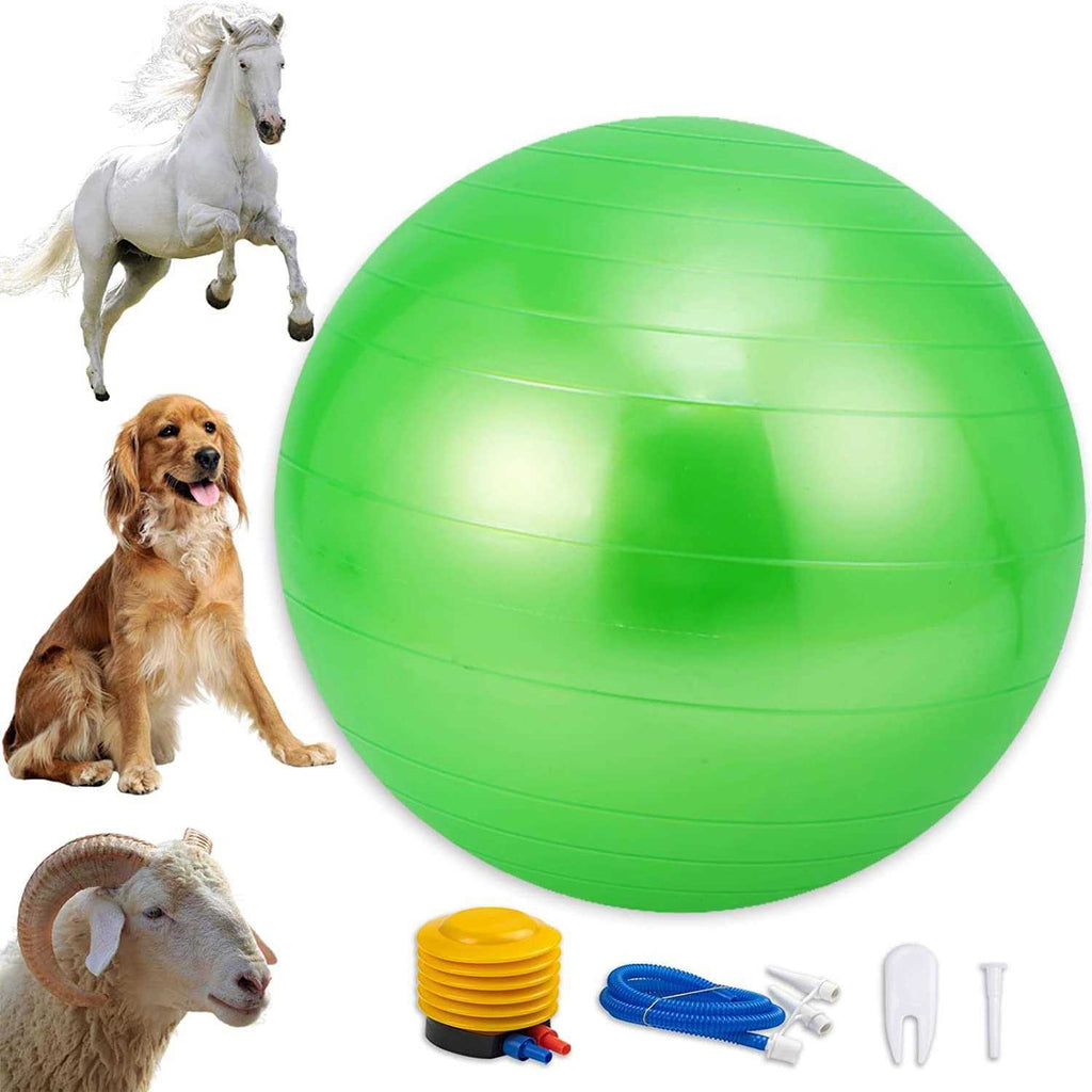 30 Inch Anti-Burst Horse Herding Ball with Pump S432849