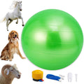 30 Inch Anti-Burst Horse Herding Ball with Pump S432849
