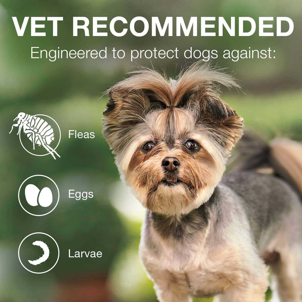 Advantage II for Dogs 3 T96281