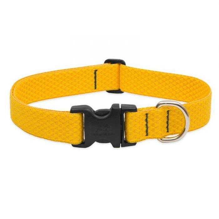Dog Collar X5751