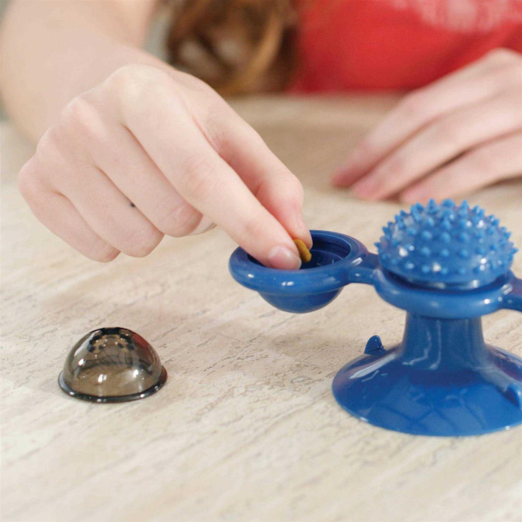 Spinner Toy & Grooming Brush X420
