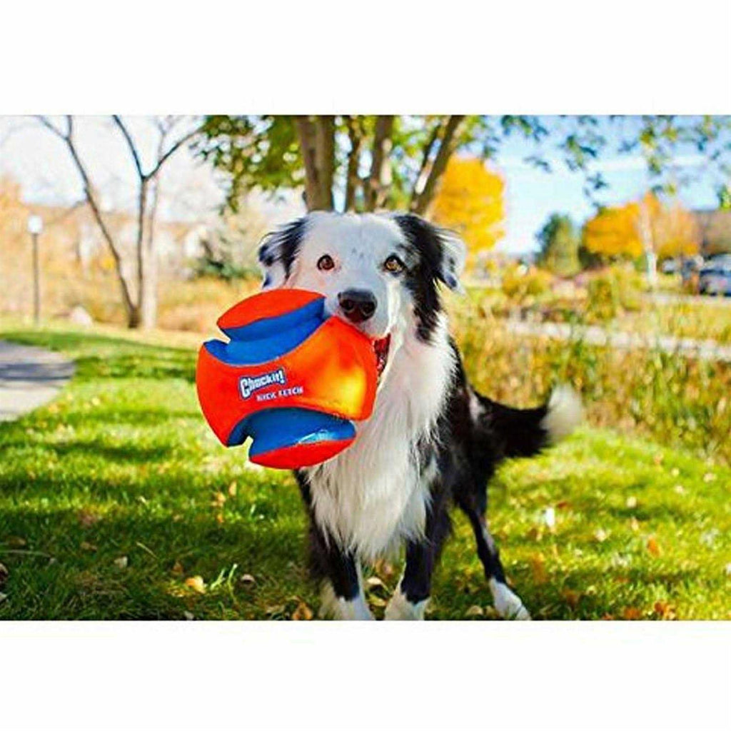 Dog Toy O813