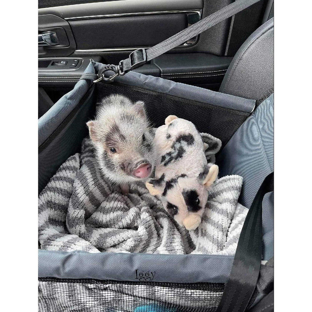Pet Car Seat E2273