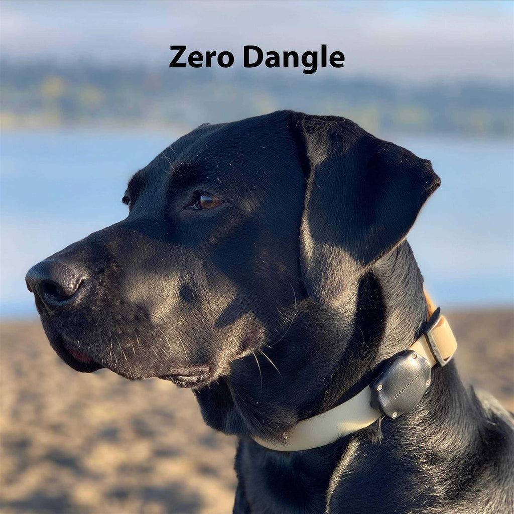 Waterproof AirTag Dog Collar Mount I60933