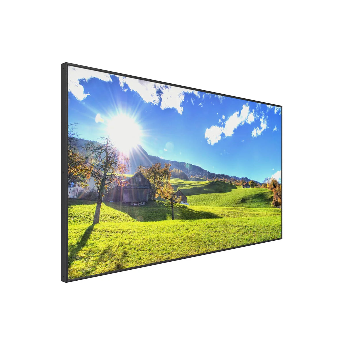 49" High Brightness Smart Outdoor Television N9419