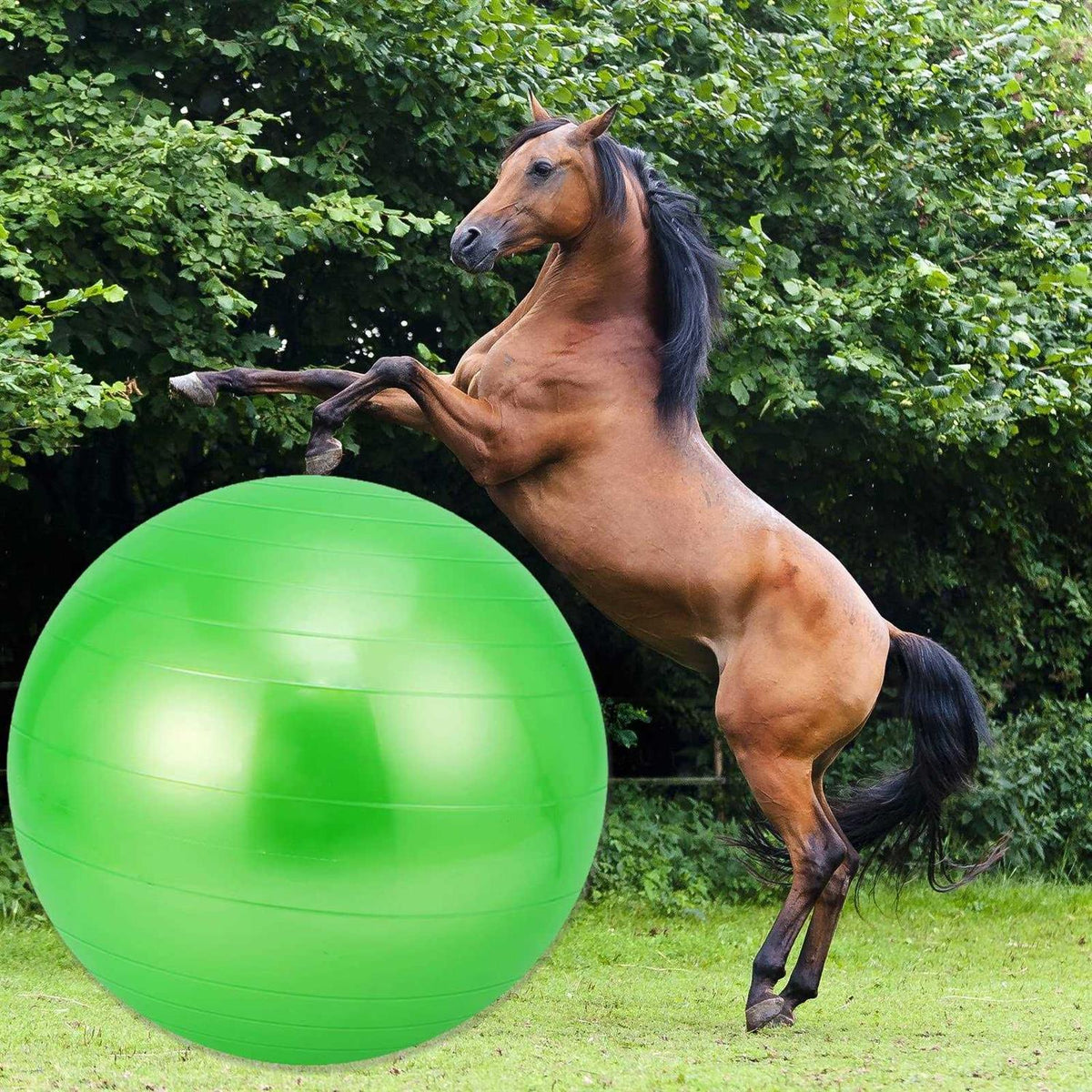 30 Inch Anti-Burst Horse Herding Ball with Pump S432849