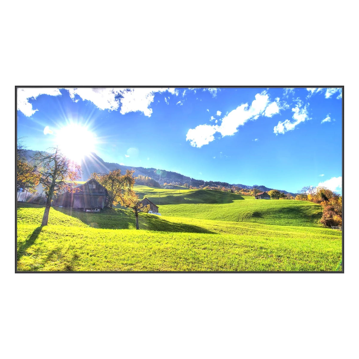 49" High Brightness Smart Outdoor Television N9419