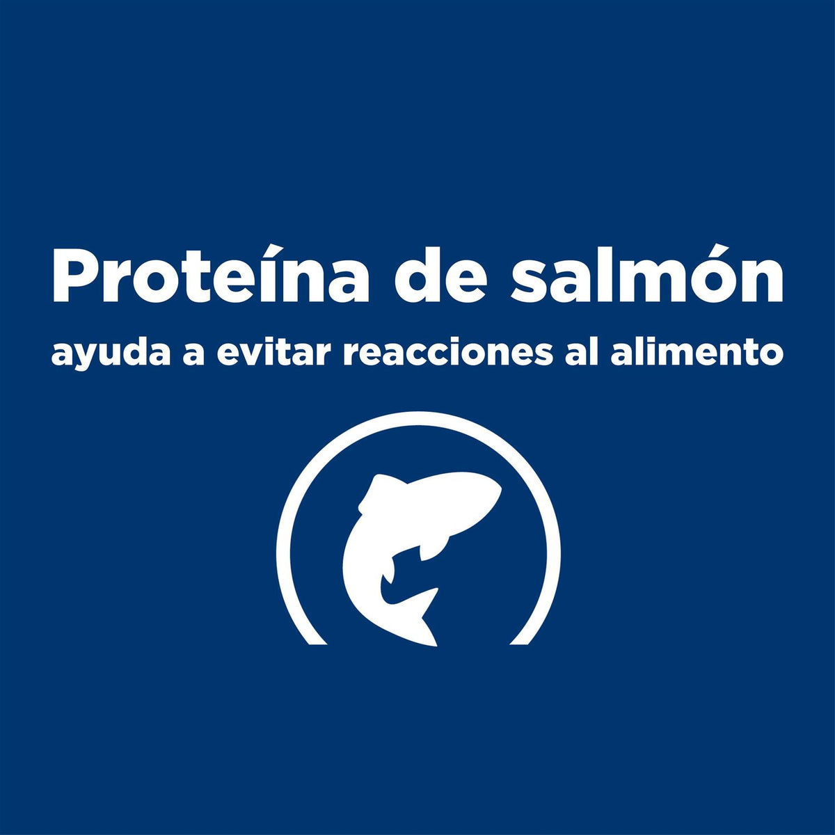 Potato & Salmon Recipe Dry Dog Food R1499