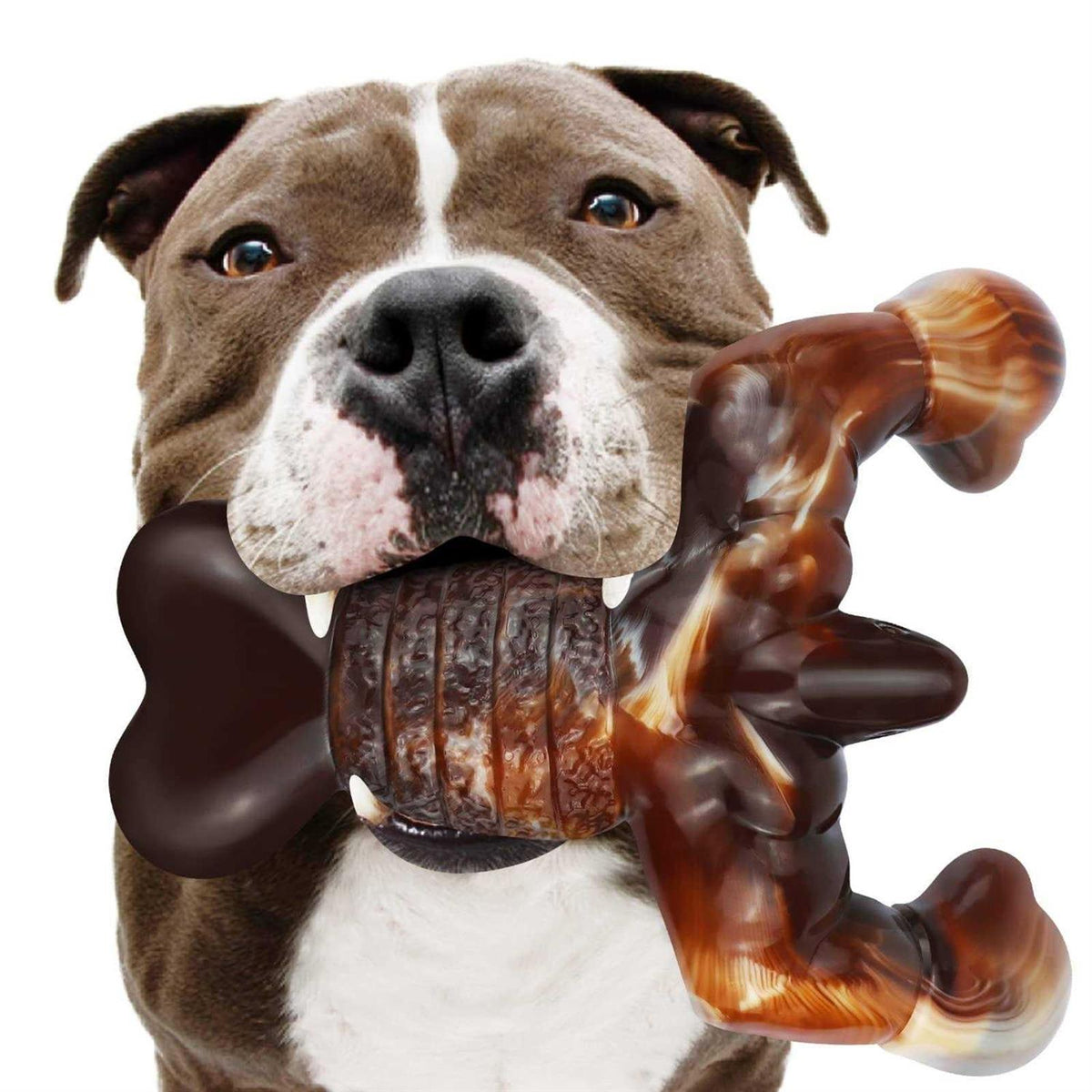 Real Bacon Flavored Tough Dog Bone Chew Toy O854929