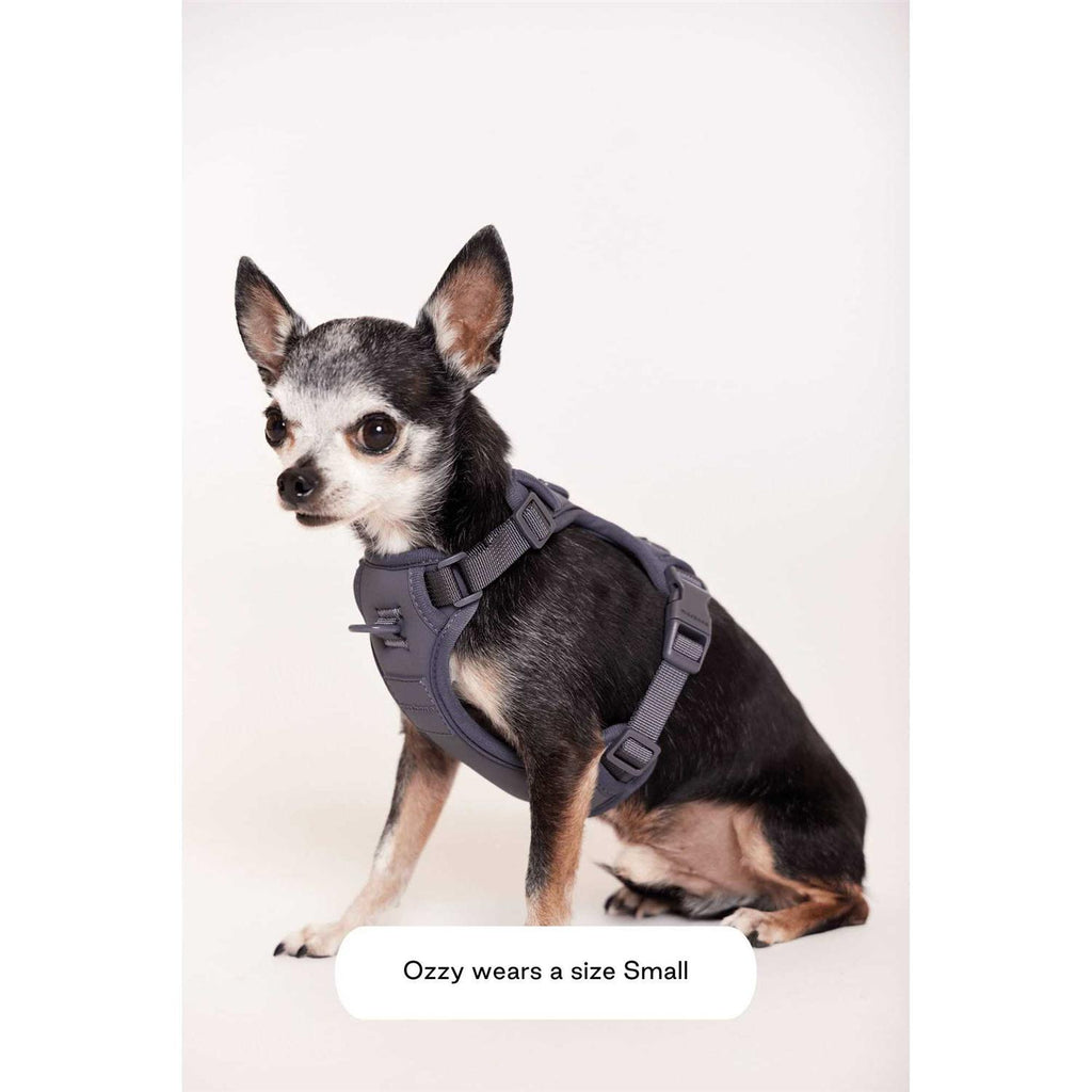 Double Panel Harness T6150
