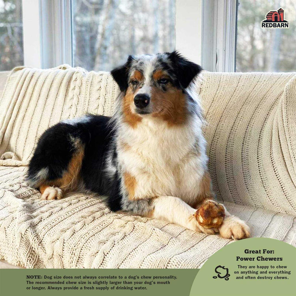 Knee Caps Dog Treats D21697