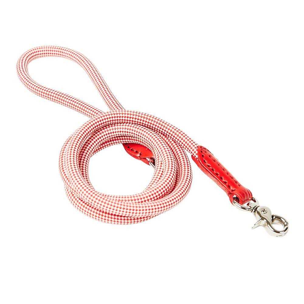Check Rope Dog Leash H6446