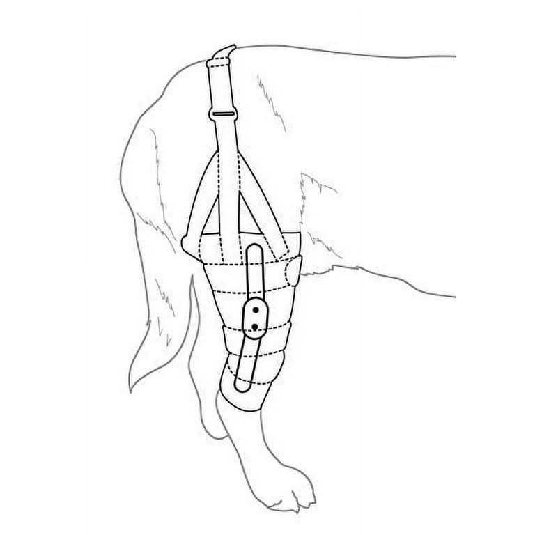 Dog Knee Brace Wrap Metal Hinged Flexible Support U419724