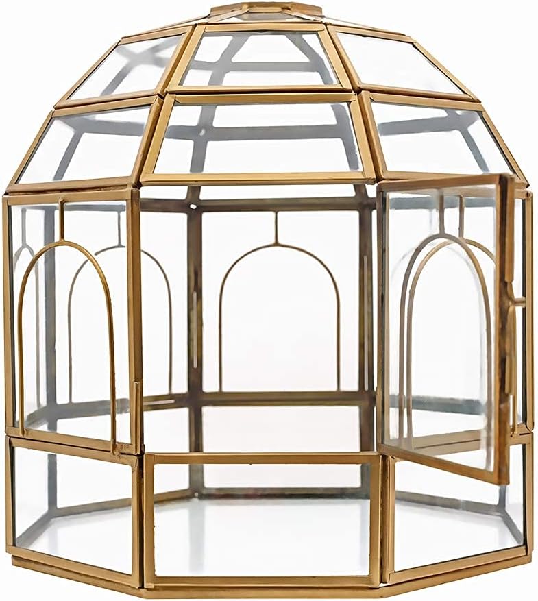 Large Glass Terrarium 10 x 9 x 9 Black P164344