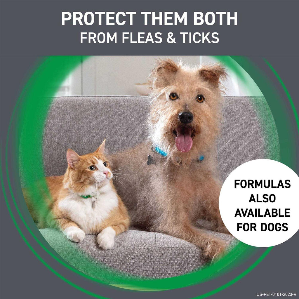 Flea & Tick for Cats Q2674