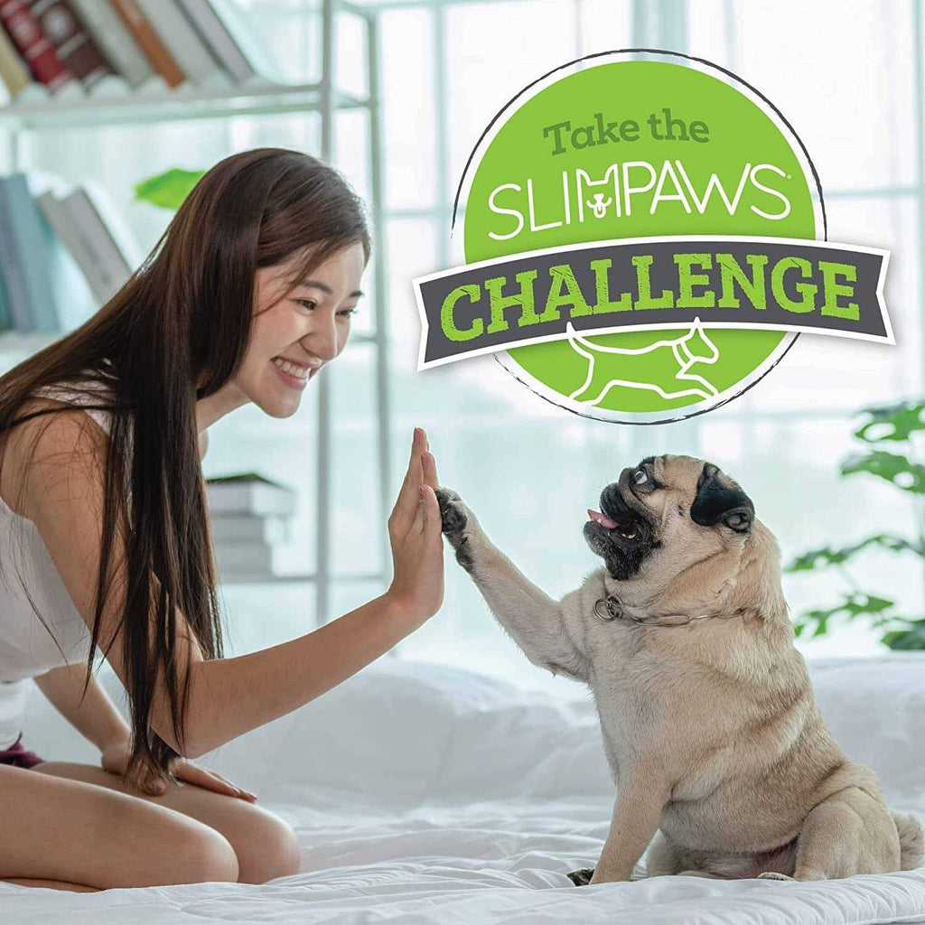 Weight Loss Soft Chews for Dogs 60 ct V582