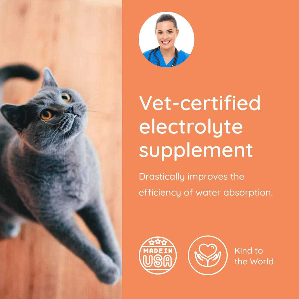 Cat Electrolyte and Joint Supplement M11583