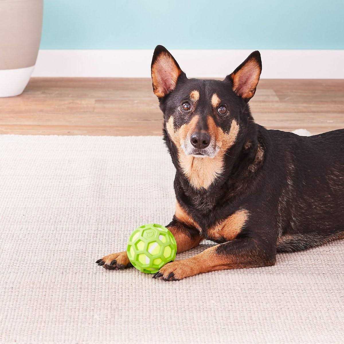 Dog Toy Q22050